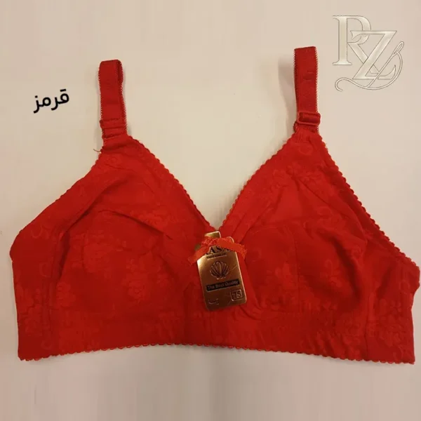 خرید سوتین زنانه کد 3030 برند رسا دوخت تمیز و کارخانه ای
