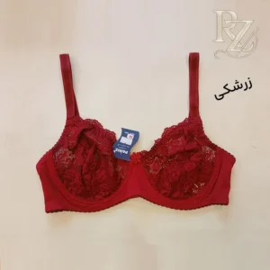 خرید سوتین زیر فنر زنانه برند پانیذ ایستایی بالا و راحتی فوق‌العاده