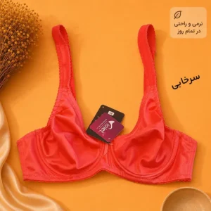 خرید سوتین مینی مایزر زیر فنر برند ویولت کاهش حجم ظاهری با حمایت کامل و پشتی صاف